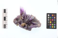 Foto von Quarz (Amethyst) (NHMW-MIN-Af971)
